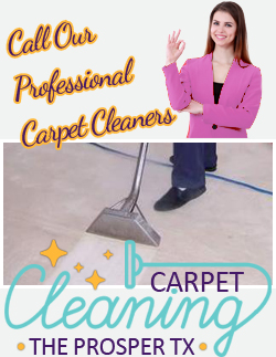 Professional Carpet Cleaners